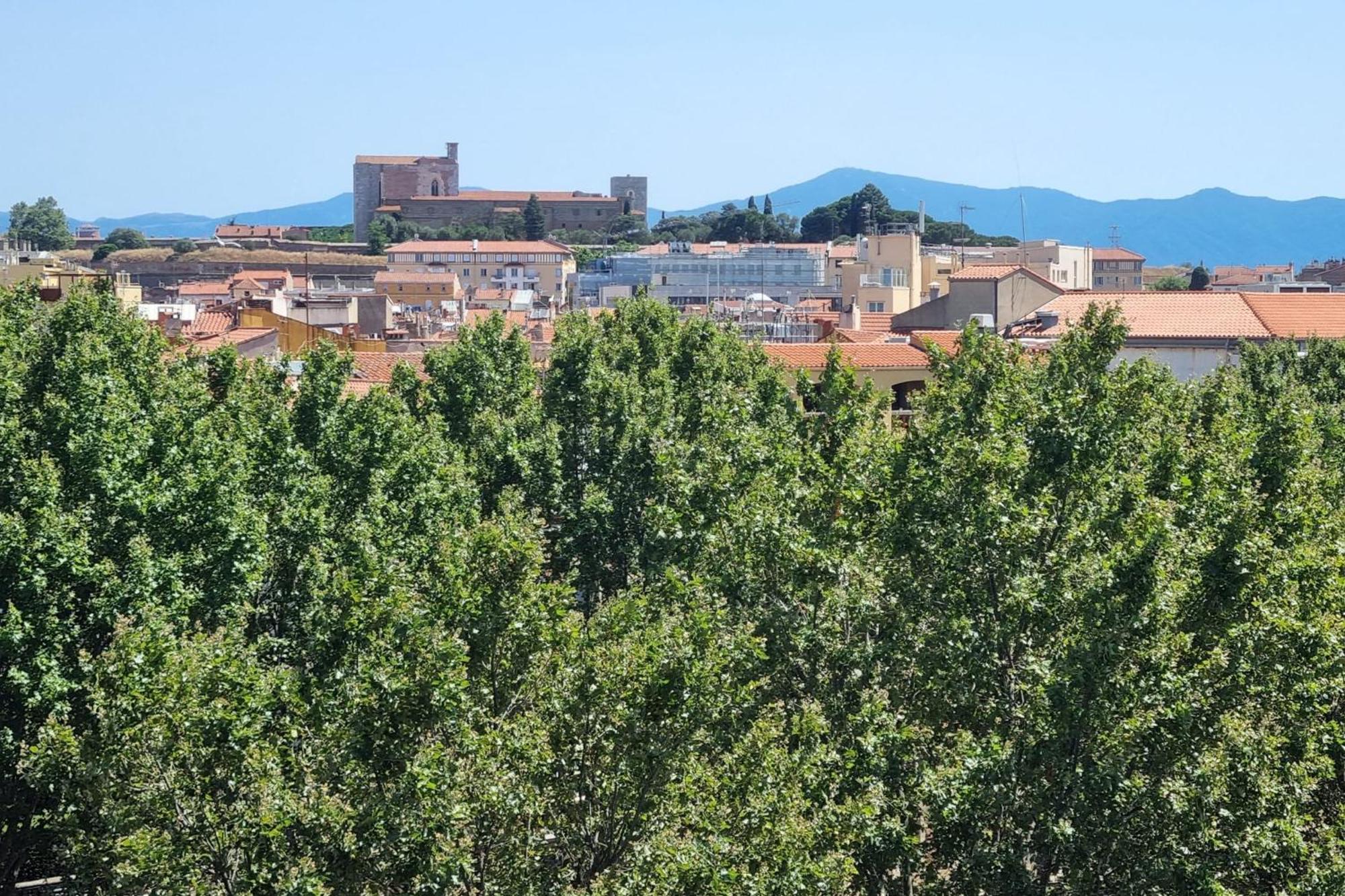 Villa Iena - 4 Etoiles - Proche Centre Ville- Wifi Perpignan Eksteriør bilde